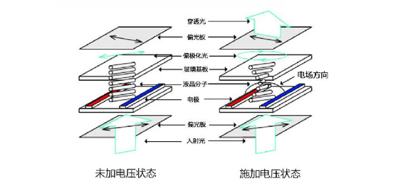 LCD中的电极产生电场.png