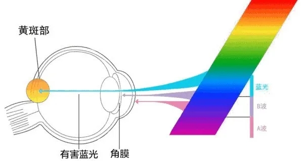 LED发光源中蓝光.jpg