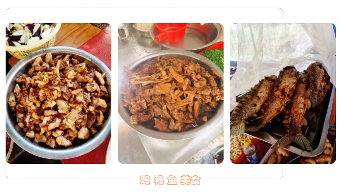 午餐美食.jpg