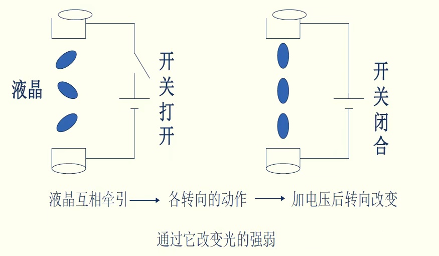 1752221950450.jpg