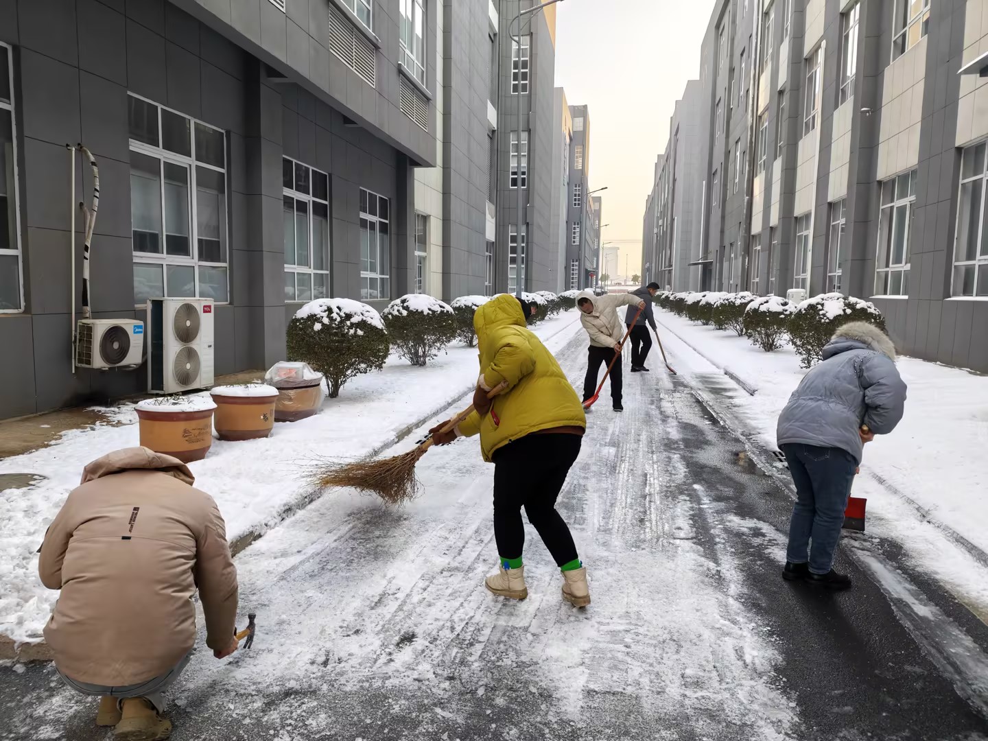 3553e06d-58e7-4eb2-9e53-6bd59d575a87.jpg 3553e06d-58e7-4eb2-9e53-6bd59d575a87.jpg