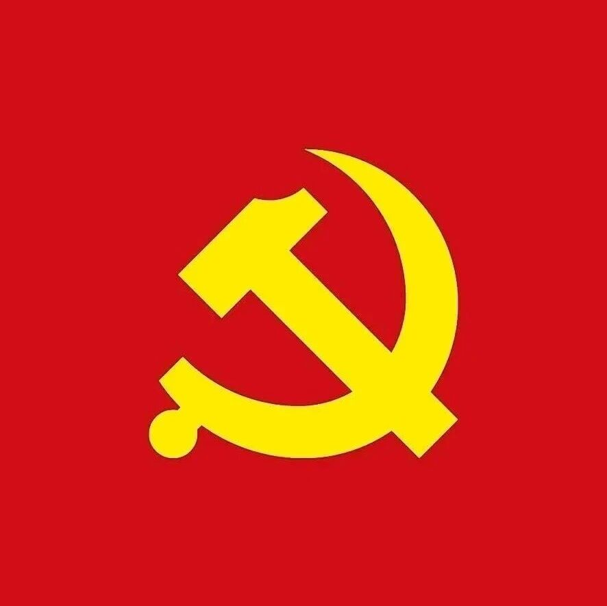 赛时达党支部成立纪实：红色引擎驱动创新，党建引领企业前行