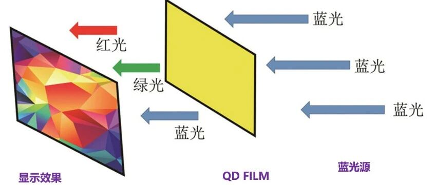 量子点膜背光.jpg